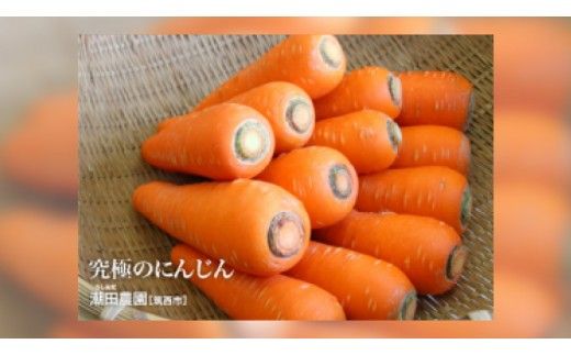 人参物語 まるごと 100％ にんじん ジュース 72本入り 野菜 ジュース [AN002ci]