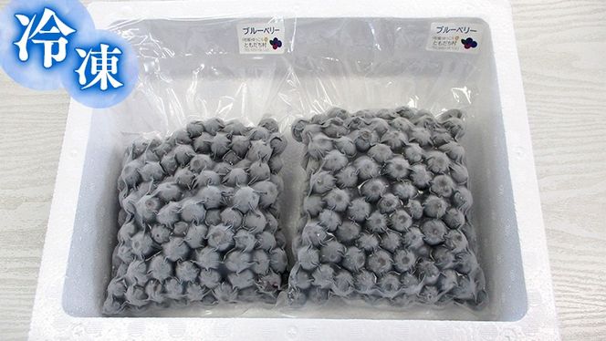 つくばみらい市 産 冷凍 ブルーベリー 800g ( 400g ×2パック ) 国産 農薬無使用 自家農場 果物 就労継続支援 フルーツ おいしい 冷凍ブルーベリー フリーズ ［DG02-NT］