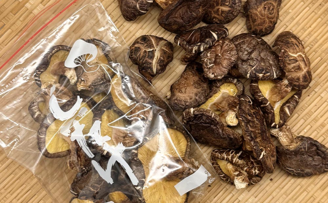 原木栽培 乾ししいたけ 100g×2袋／兵庫県新温泉町産　乾燥しいたけ 干し椎茸 バーベキュー 炊き込みご飯 煮物