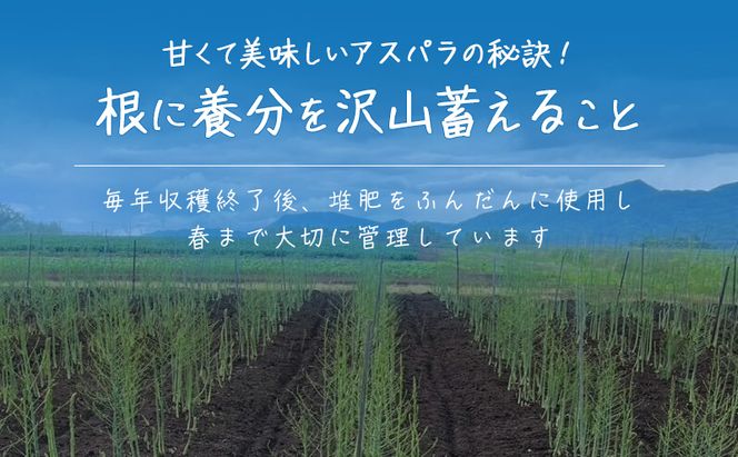 ［武田農園とれたて直送］2026年春発送 グリーンアスパラ 2L 2kg やわらかくて抜群にあまい！北海道 富良野産 (アスパラガス アスパラ 野菜 新鮮 産地直送 先行予約 限定)