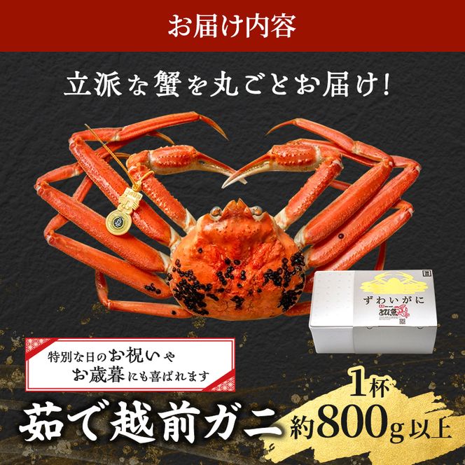 期間限定 茹で 越前ガニ 約800g以上 1杯 配送 食通もうなる本場の味をぜひ、ご堪能ください 越前かに 蟹 カニ ズワイガニ 海鮮 福井県 若狭町
