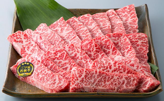 父の日 若狭牛 定期便 3ヶ月 三ツ星若狭牛満喫コース1 高島屋 選定品 ロース すき焼き すき焼き肉 カルビ 焼肉 焼き肉 BBQ バーベキュー サーロイン サーロインステーキ ステーキ肉 黒毛和牛 牛肉 牛 肉 お肉 食べ比べ 冷凍 冷凍配送 定期 3回