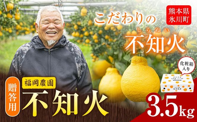 不知火 福岡農園 不知火 3.5kg 贈答用《1月上旬-1月末頃出荷》熊本県 氷川町 柑橘 果物 フルーツ shiranui しらぬい 柑橘 旬 フルーツ 熊本県産 みかん---hkw_lcl_570_3500g---