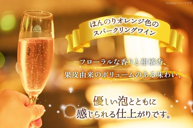 ワイン 甲州オランジュ･グリ スパークリング [本坊酒造株式会社マルス穂坂ワイナリー 山梨県 韮崎市 20745330] Wine わいん お酒 酒 スパークリングワイン オレンジワイン 甲州 山梨ワイン