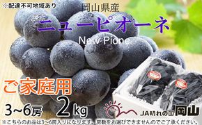 ぶどう 2026年 先行予約 ご家庭用 ニュー ピオーネ 3～6房 約2kg ブドウ 葡萄  岡山県産 国産 フルーツ 果物 岡山のぶどう 旬のフルーツ 旬の果物 大粒 種無し 