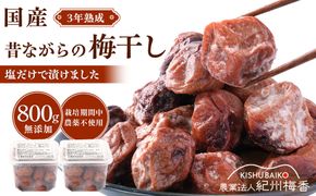 規格外品 無添加 栽培期間中農薬不使用 昔ながらの梅干し 紀州南高梅 塩のみで漬けたすっぱい梅干し 800g（400gパック×2個）塩分約23% 3年熟成品 N20-K ［KU8］ 303446_ED90007