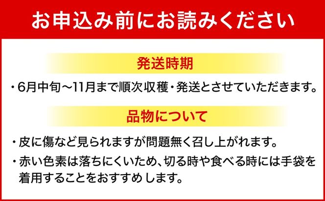 【2026年発送】 農家直送！南国の果物 ドラゴンフルーツ 2.5kg 火龍果 果物 フルーツ デザート お取り寄せ 沖縄市 / タカエス フルーツ＆ベジタブル [BCBH002]