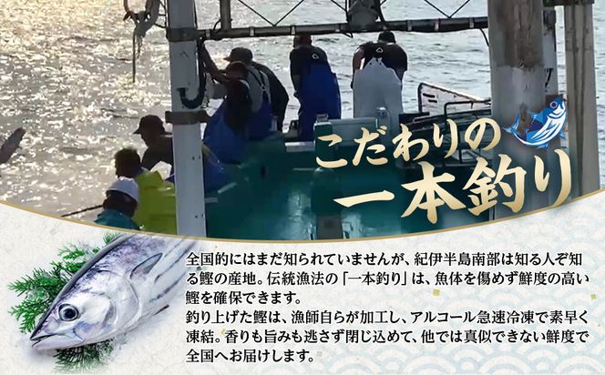 かつお一本釣り漁師が直送！ 日帰り生かつお 訳あり 2.2kg入 304018_DT06