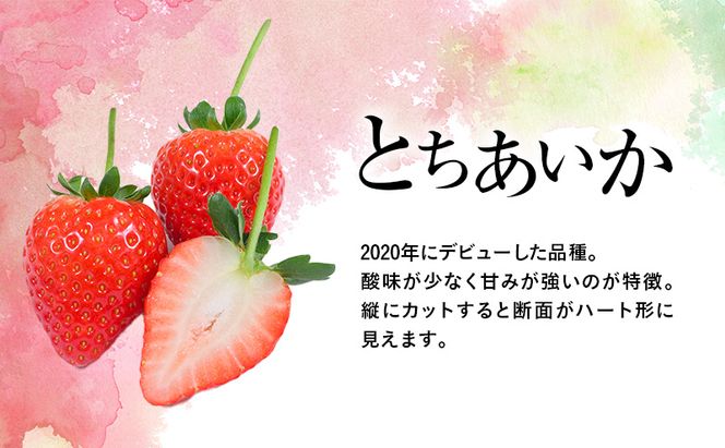 【先行予約】いちご あいか×おとめハーフ＆ハーフ 4パック ※2027年2月～発送