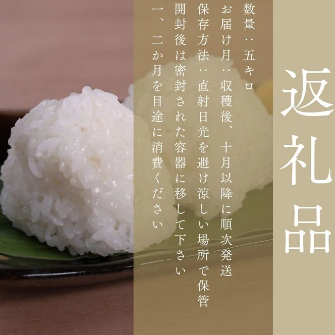 令和8年産 新米予約受付！自然栽培米ひのひかり5kg〈栽培期間中農薬・肥料不使用〉【ほのわ】_HA1609
