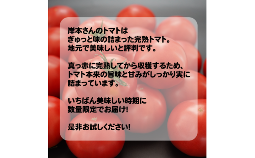 岸本くんの完熟トマト 大玉 約4kg 発送期間：2025年12月10日～2026年4月30日