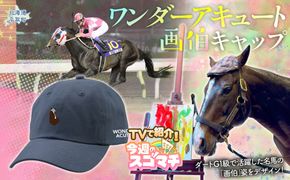 【TVで紹介！】【ワンダーアキュート画伯】キャップ BRTV202