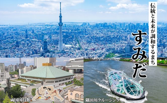 【東京ツアー】墨田区 旅行クーポン 後から選べる旅行Webカタログで使える！旅行クーポン（90,000円分）粋をめぐる、すみだ旅！ 旅行券 宿泊券 飲食券 体験サービス券