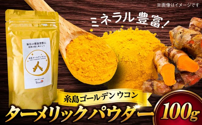 糸島ゴールデンウコン 粉末 100g 糸島市 / 翼宿糸島食悦 秋ウコン ターメリック[AJO001] ウコン 秋ウコン アキウコン 粉末 健康 国産 野菜 ターメリック クルクミン