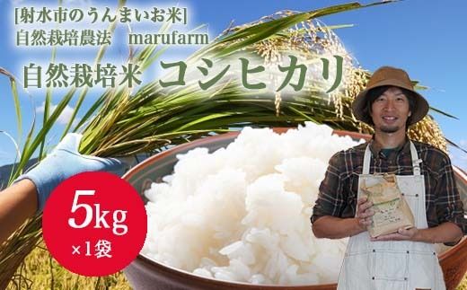 【射水の美味しいお米】【自然栽培農法】自然栽培農家 marufarm 自然栽培米「コシヒカリ」5kg ※2026年10月～発送