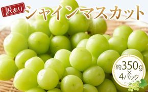 【先行予約】【訳あり】シャインマスカット 350g前後×4パック ≪果物 フルーツ くだもの≫　※2026年8月下旬頃～9月下旬頃に順次発送予定 313726_AN007