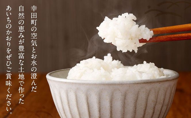 幸田町産「栄養週期栽培米」あいちのかおり 5kg 白米 精米 お米 ご飯