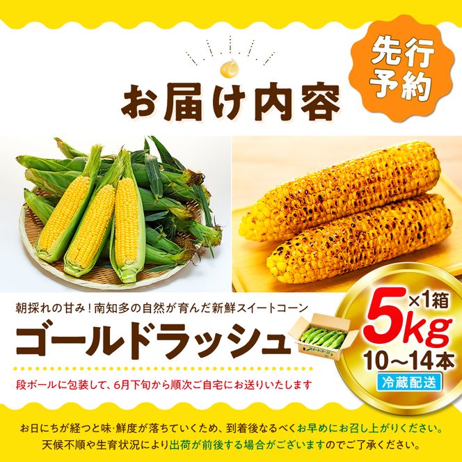 【先行予約 6月下旬から出荷】 スイートコーン 約5kg 10～14本 冷蔵 国産 とうもろこし 先行予約 数量限定 コーン 野菜 新鮮 焼き 蒸し 産地 直送 甘い 甘口 子ども 子供 小分け 種子 肥料 さわやか すっきり 糖度 黄色 人気 おすすめ 愛知県 南知多町