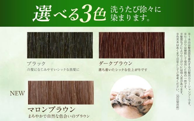 【全12回定期便】［白髪用］利尻炭酸カラーシャンプー 糸島市 / 株式会社ピュール ヘアケア シャンプー [AZA050] シャンプー 白髪染め カラーシャンプー メンズ レディース ブラック 10本