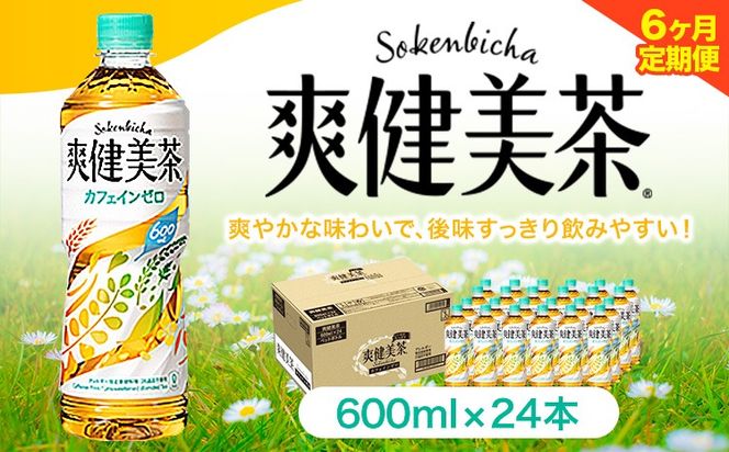 ya̎RI̐sz6ց u 600ml×24{ RJER[{g[YWpijs\݌o׊Jnta̎R I̐s   ngM  ---wsk_coctei5_25_86500_mo6num1---