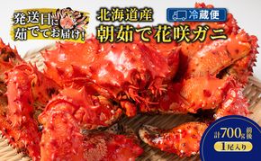 ［冷蔵便］茹でたて直送！北海道産 朝茹で 花咲ガニ 約700g×1尾【 かに カニ 蟹 花咲ガニ 花咲蟹 海鮮 魚介 海の幸 海産物 家庭用 冷蔵 北海道 十勝 幕別 】