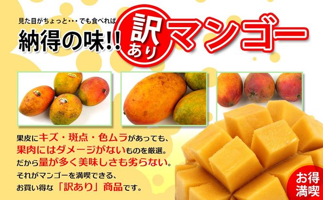 【2027年発送】訳あり品！！大宜味村産マンゴー【約2kg・白箱】