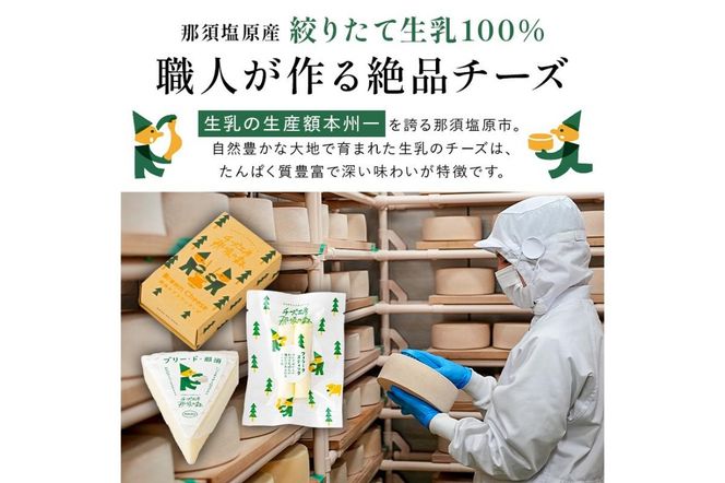 ns003-001　【チーズ工房那須の森】那須の森3種チーズおまかせセット（カチョカバロ＋フィラータスティック＋おまかせチーズ1種）
