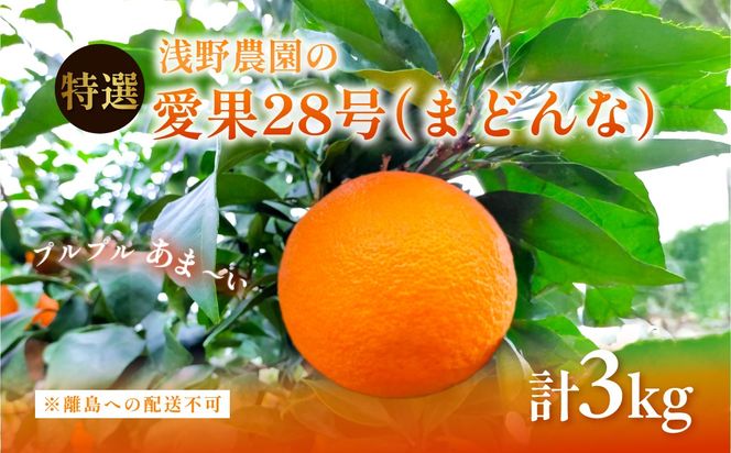 【先行予約】【数量限定】浅野農園の愛果28号（まどんな）特選計3kg ※離島への配送不可（2026年12月中旬～2027年1月中旬頃に順次発送予定）IKTAC023