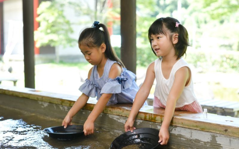 [日本初の産金地]天平ろまん館 本気採り 砂金採り 体験60分コースペア券 / 砂金採り 体験 体験チケット 歴史 [wakuyakousya007]