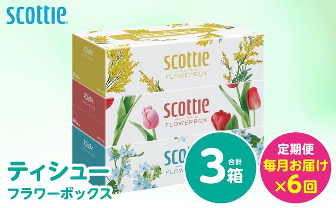 【定期便6回】【毎月お届け】【スコッティ】 ティシュー フラワーボックス 250組 3箱 計18箱 ティッシュ 日用品 生活必需品 消耗品 紙 備蓄 防災備蓄 ストック デザインボックス 新生活 防災 生活用品 日用消耗品 箱ティッシュ 熊本県 八代市