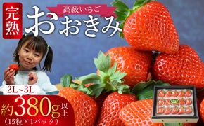 ＜高級いちご「おおきみ」（15粒入り×1パック約380g以上）＞2025年1月下旬～4月末迄に順次出荷【b0285_sn】