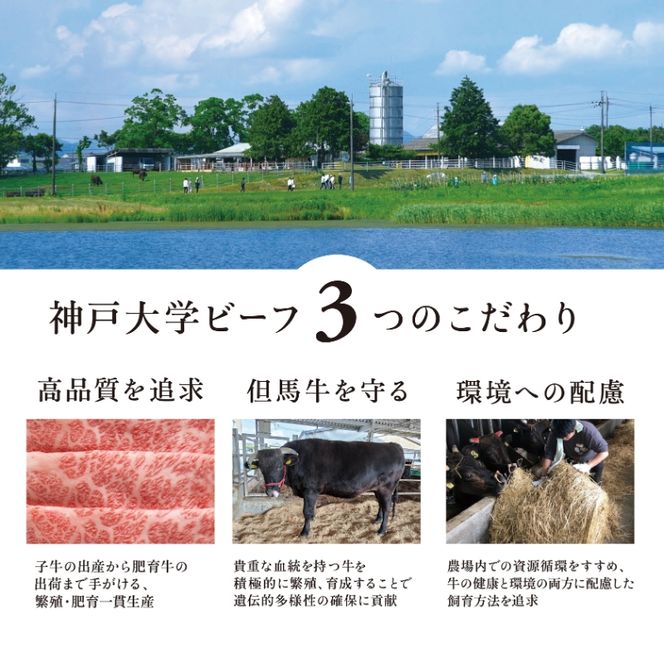神戸牛 神戸大学ビーフ 希少部位 ステーキ用 お試し 300g カイノミ ササニク 神戸ビーフ 牛肉 お肉 肉 アウトドア キャンプ BBQ ブランド牛 但馬牛