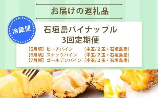 【予約受付】【定期便】石垣島産 パイナップル 3回 定期 3種 計6玉【2026年 5月頃・6月・7月頃お届け】 ふるさと納税 パイナップル パイン フルーツ 果物 果実 定期便 定期 3回 3か月 沖縄県 石垣市 石垣島 産地直送 ふるさと 人気 送料無料 KP-18