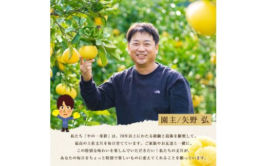 【日本ギフト大賞2024受賞】【先行予約】 園主こだわりの土佐文旦 5kg 小玉（L～Mサイズ） 2027年1月下旬より順次発送 家庭用 贈答用 ぶんたん ブンタン 柑橘 みかん フルーツ 果物 お取り寄せ 【やの一果彩】 [BQAC017]