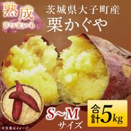 【先行予約】熟成さつまいも 栗かぐや 5kg【10月中旬より順次発送予定】｜茨城県 大子町 サツマイモ 芋 甘い ホクホク 野菜 数量限定 秋 旬 産地直送（CH004）