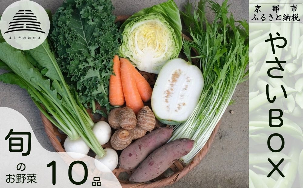 [よしだのはたけ]旬の野菜10品 やさいBOX|京都 京北 農家直送 野菜 人気セット [ 旬のお野菜 新鮮 おまかせセット 美味しい 産地直送 野菜詰め合わせ 野菜セット 人気 おすすめ ギフト プレゼント お取り寄せ 通販 送料無料 ふるさと納税 ] 261009