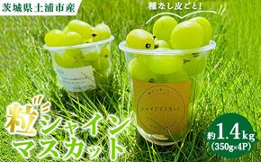 粒ぶどう シャインマスカット 約1.4kg（350g×4P）　※2026年9月～発送