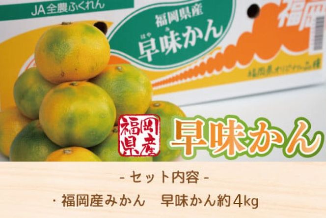 みかん 早味かん 約 4kg 【期間限定発送】 [南国フルーツ 福岡県 宇美町 um40azo970031] 先行予約 福岡県産 ミカン 早生みかん 早生ミカン フルーツ 果物 くだもの 果実 甘い あまい