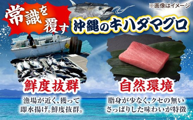 冷凍キハダマグロ 900g (300g×3パック) マグロ まぐろ 小分け 冷凍 刺身 赤身 沖縄市 / 沖縄市漁業協同組合 パヤオ直売店[BCDZ006]