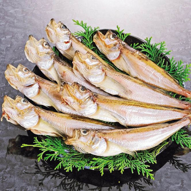 【ふるさと納税】美味い、脂の乗った 浜坂産 一夜干し ハタハタ 1.0kg 17～24枚 はたはた 干物 干し魚 干しハタ 干し物 魚介 1kg おつまみ 惣菜 おかず 国産 冷凍 お取り寄せ 兵庫県 新温泉町 送料無料