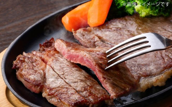 沖縄県産 石垣牛 ハンバーグ・ステーキセット 計600g 牛 ステーキ肉 和牛 ハンバーグ 冷凍 ギフト お取り寄せ 沖縄市 / お肉屋本店[BCAZ005]