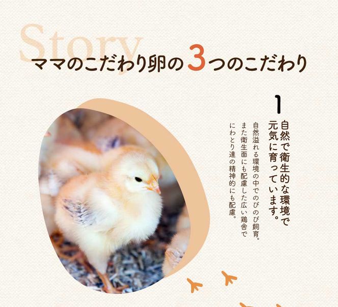 【累計6万本突破！】卵黄で作ったこだわりのマヨネーズ5本 008AC01N.／ママのこだわり卵 大容量 栄養満点 調味料 お料理 安心 安全 健康 玉子 サラダ ディップ ポテトサラダ