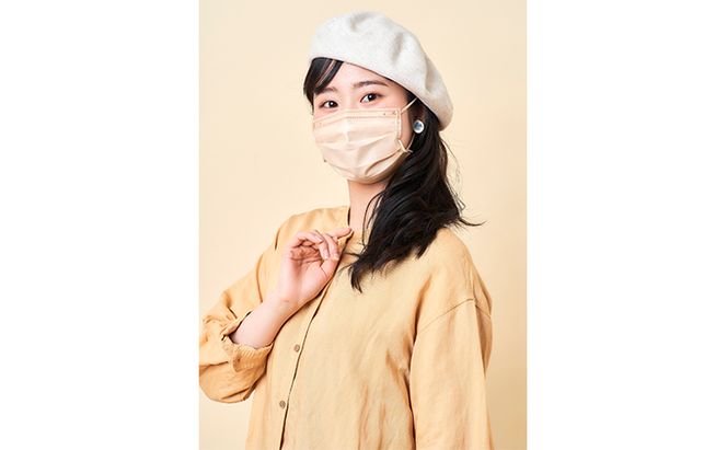 DAILY FIT MASK ふつうサイズ 30枚入×3箱 PN-DC30MSB シルクベージュ アイリスオーヤマ 雑貨 日用品 衛生用品 肌に優しい 国内製造 高密着 ウイルス 飛まつ 花粉 侵入ガード 長時間 快適 やわらか耳ひも 不織布マスク 3層構造 プリーツ型 色付き 