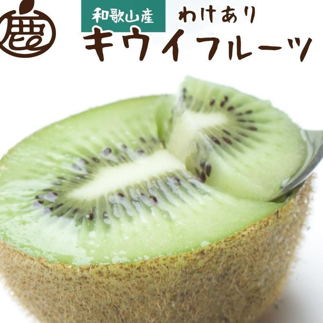 ［先行予約］わけあり キウイ10kg+250g（傷み補償分）［わけあり・訳あり・扁平果］	CZ210 