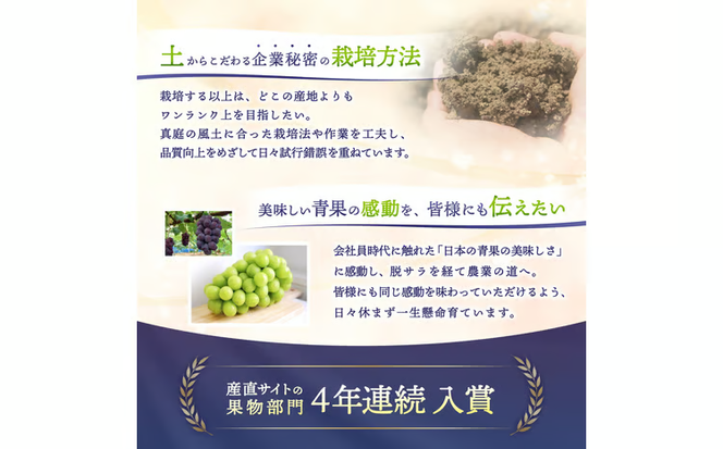 【2026年先行予約】 【ご家庭用】 Lino＆Kai Farmのシャインマスカット 3房前後(2kg程度）化粧箱入 / 朝採れ ぶどう 岡山 真庭市 シャインマスカット 高級 ギフト 大粒 果物 贈答 人気 産地直送 国産 数量限定 種なし 【linokai002-02】