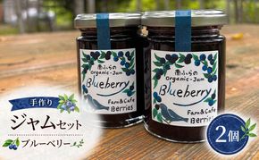 手作りジャムセット 【ブルーベリー】 2個 北海道 南富良野町 ジャム ブルーベリー ソース 果実 ベリー