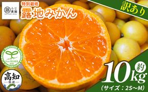 みかん 【2026年10月以降順次配送分】ふじ農園の露地みかん 訳あり品 10kg (2S～M) - 国産 蜜柑 ミカン 柑橘 果物 フルーツ 訳アリ ご家庭用 家庭用 自宅用 ふじ農園 高知県 香南市 常温 fn-0014