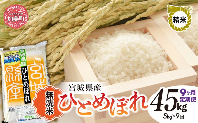 y{錧zy9ցzR7 {錧Y ЂƂ߂ڂ  5kg×9 [ {錧   ]   R  sw-hb05-mu-t9-r7