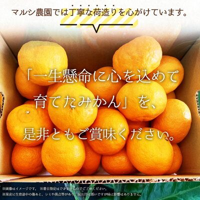 BF6031n_【2026年先行予約】 期間限定 有田みかん 約 3kg 2S～Lサイズ サイズ混合 30個 前後 秀品 優品 紀州 有田 みかん 温州みかん フルーツ 果実 甘み 酸味 絶妙 バランス 果物 柑橘 国産 食品 食べ物 マルシ農園 お取り寄せ 和歌山県 湯浅町 送料無料