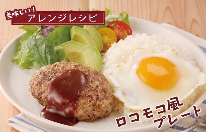 099Z552 【泉佐野ブランド豚】犬鳴豚の手作りプレミアムハンバーグ（10個入り）×3回【国産 豚肉 ぶたにく 定期便 犬鳴ポーク 普段使い】